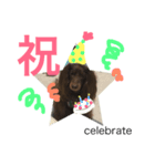 ショコラのつぶやき 漢字⇆英語 Ver.1（個別スタンプ：8）