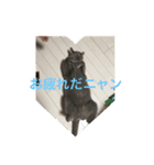 ゆっくりいこうよ（個別スタンプ：4）