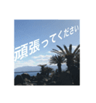 絶景にのせてごあいさつ（個別スタンプ：5）