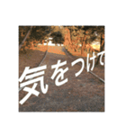 絶景にのせてごあいさつ（個別スタンプ：23）
