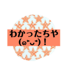 土佐弁つこうてみてやー（個別スタンプ：1）