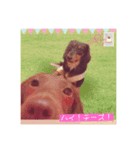 鬼嫁のベルとその旦那のスリンキー（個別スタンプ：1）