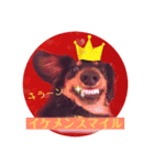 鬼嫁のベルとその旦那のスリンキー（個別スタンプ：5）