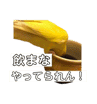 インコのからあげスタンプ（個別スタンプ：9）
