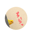 インコのからあげスタンプ（個別スタンプ：15）