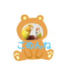 インコのからあげスタンプ（個別スタンプ：26）