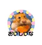 ゴールデンハムスター  ぽんちゃん（個別スタンプ：8）