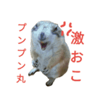 プレーリードッグのタルト♥（個別スタンプ：4）