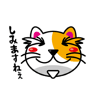 猫田修のオトナ放浪記（個別スタンプ：13）