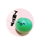 全部かぼす（個別スタンプ：1）