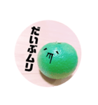 全部かぼす（個別スタンプ：24）