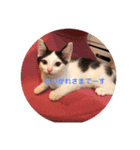 こまちとコムギ（個別スタンプ：2）