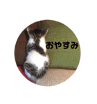 こまちとコムギ（個別スタンプ：5）