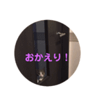 こまちとコムギ（個別スタンプ：6）