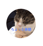 こまちとコムギ（個別スタンプ：11）