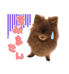 毎日ぷすぷすver.1（個別スタンプ：2）