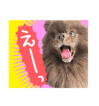 毎日ぷすぷすver.1（個別スタンプ：4）