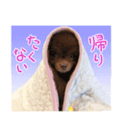 毎日ぷすぷすver.1（個別スタンプ：5）