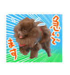 毎日ぷすぷすver.1（個別スタンプ：6）