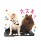 毎日ぷすぷすver.1（個別スタンプ：7）