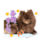毎日ぷすぷすver.1（個別スタンプ：8）