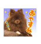 毎日ぷすぷすver.1（個別スタンプ：9）