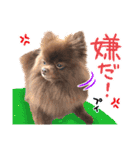 毎日ぷすぷすver.1（個別スタンプ：10）