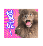 毎日ぷすぷすver.1（個別スタンプ：11）