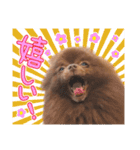 毎日ぷすぷすver.1（個別スタンプ：13）