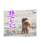 毎日ぷすぷすver.1（個別スタンプ：14）