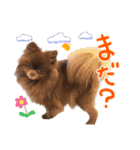 毎日ぷすぷすver.1（個別スタンプ：15）