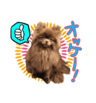 毎日ぷすぷすver.1（個別スタンプ：18）