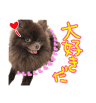 毎日ぷすぷすver.1（個別スタンプ：19）