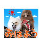 毎日ぷすぷすver.1（個別スタンプ：20）