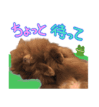 毎日ぷすぷすver.1（個別スタンプ：21）