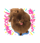 毎日ぷすぷすver.1（個別スタンプ：22）