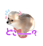 毎日ぷすぷすver.1（個別スタンプ：24）