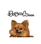 我おこげぞ（個別スタンプ：5）