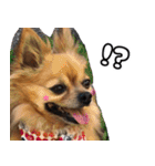 我おこげぞ（個別スタンプ：6）