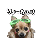 我おこげぞ（個別スタンプ：8）