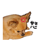 我おこげぞ（個別スタンプ：12）
