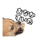 我おこげぞ（個別スタンプ：14）