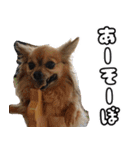 我おこげぞ（個別スタンプ：21）