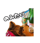 我おこげぞ（個別スタンプ：26）