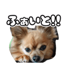 我おこげぞ（個別スタンプ：27）