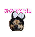 我おこげぞ（個別スタンプ：35）