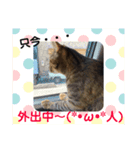 猫-ネコ-ねこ- cat（個別スタンプ：4）