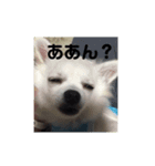 ましゅたんぐ5（個別スタンプ：5）