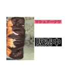 ましゅたんぐ5（個別スタンプ：7）