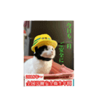 みーふーう（個別スタンプ：1）